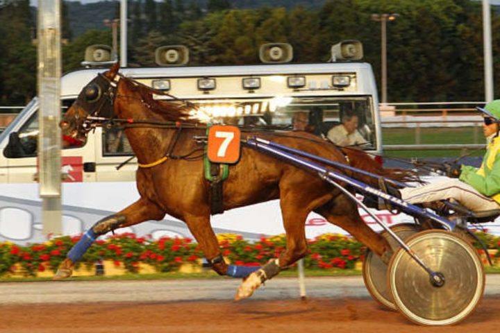 Quinté du mercredi 18 mars 2026 à Vire: les pronostics