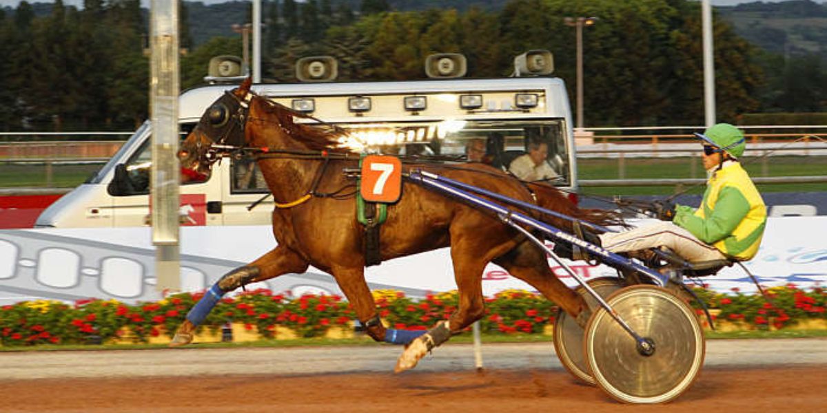 Quinté du mercredi 18 mars 2026 à Vire: les pronostics