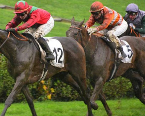 Quinté du jeudi 19 mars 2026 à Saint-Cloud: les pronostics