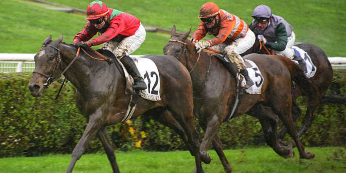 Quinté du jeudi 19 mars 2026 à Saint-Cloud: les pronostics