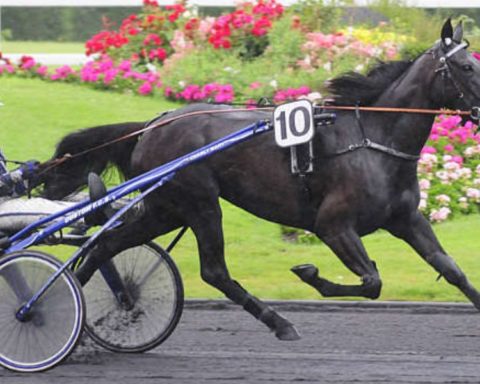 Quinté du vendredi 20 mars 2026 à Vincennes: les pronostics