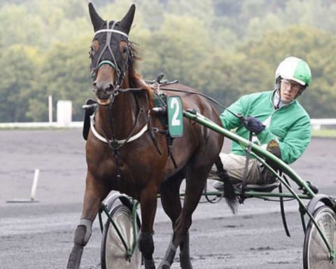Quinté du samedi 21 mars 2026 à Vincennes: les pronostics