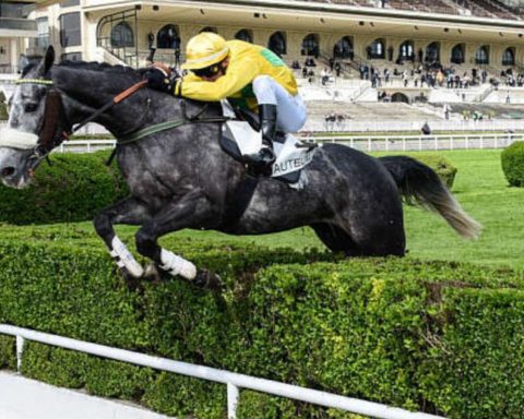 Quinté du dimanche 22 mars 2026 à Auteuil: les pronostics