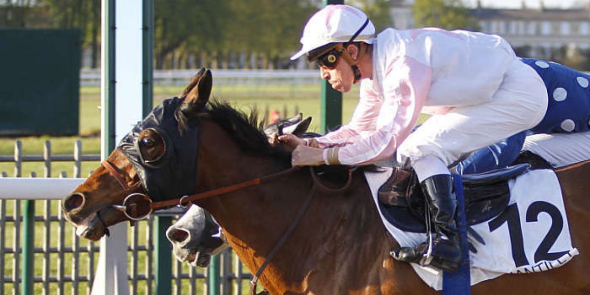 Quinté du lundi 23 mars 2026 à Chantilly: les pronostics