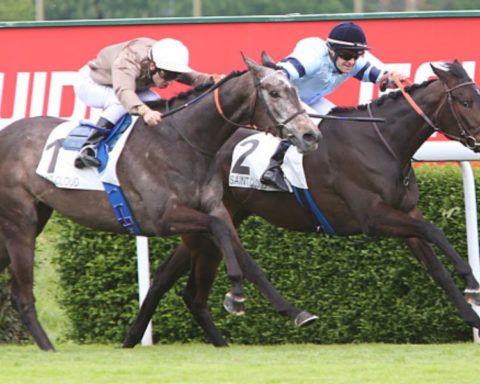 Quinté du mardi 24 mars 2026 à Saint-Cloud: les pronostics