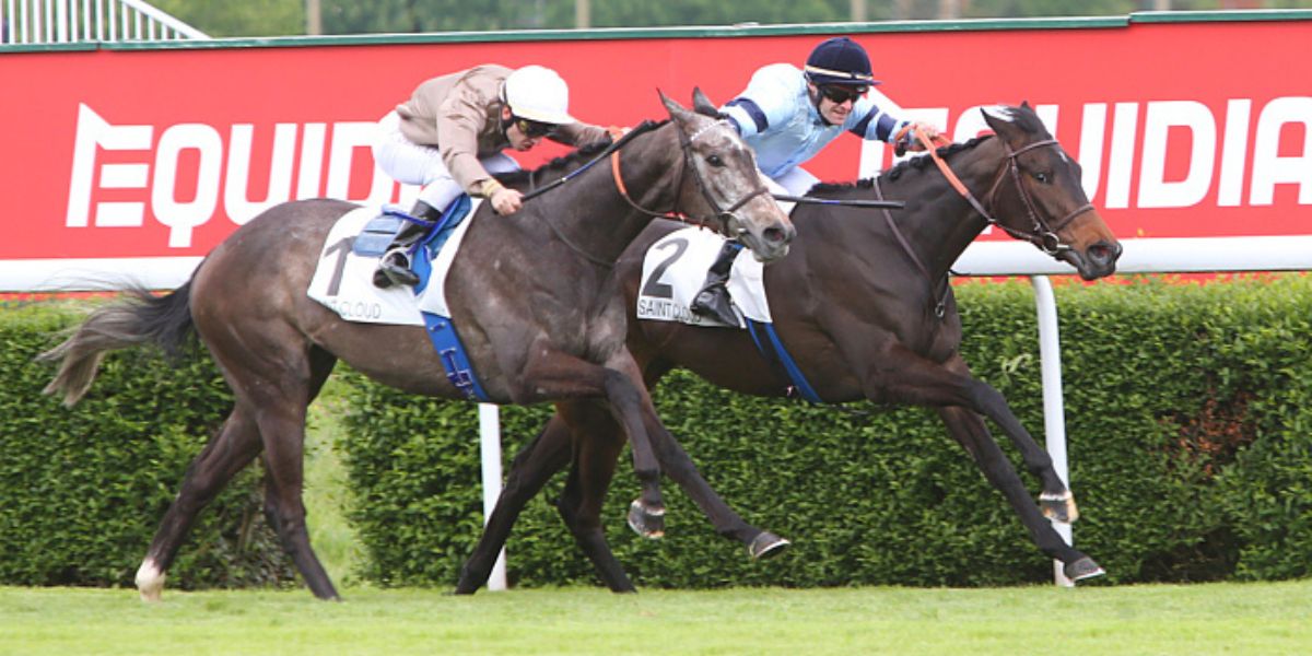 Quinté du mardi 24 mars 2026 à Saint-Cloud: les pronostics