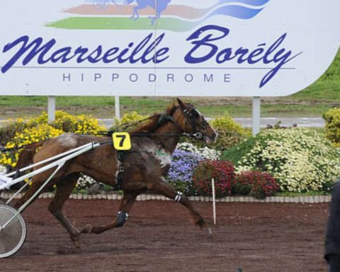 Quinté du mercredi 25 mars 2026 à Marseille Borély: les pronostics