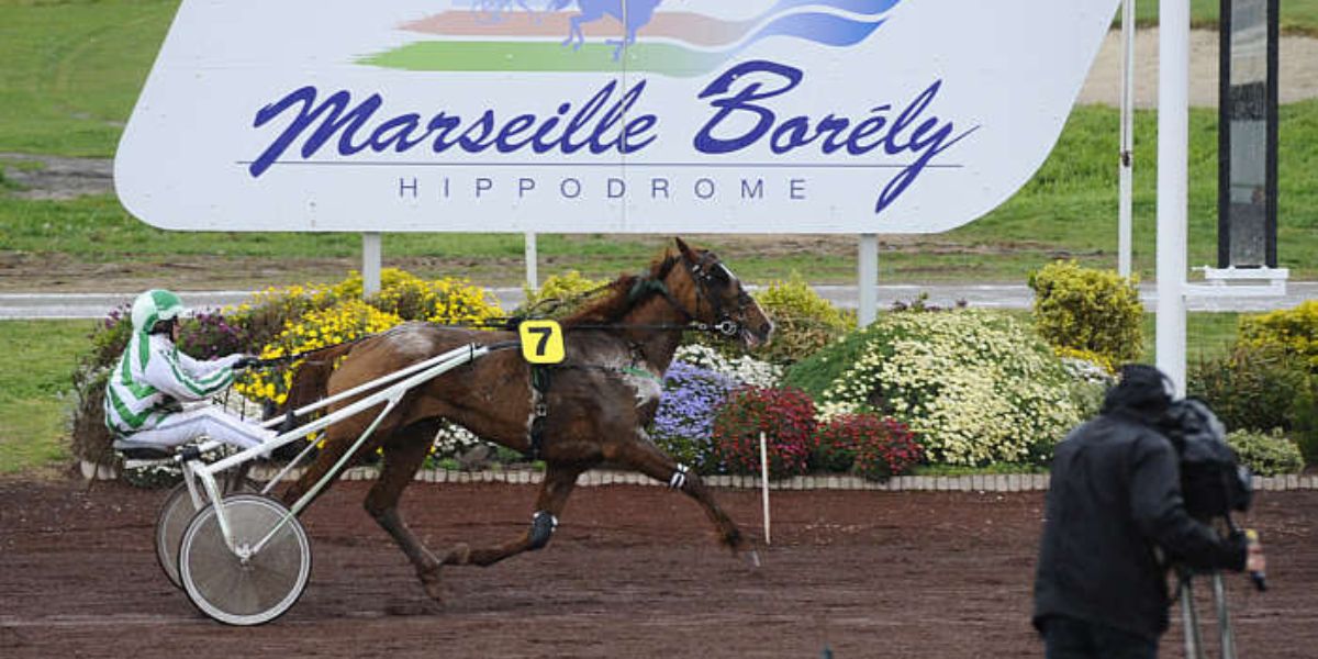 Quinté du mercredi 25 mars 2026 à Marseille Borély: les pronostics