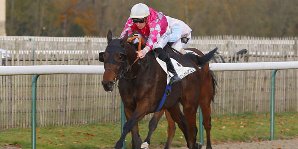 Quinté du jeudi 26 mars 2026 à Chantilly: les pronostics