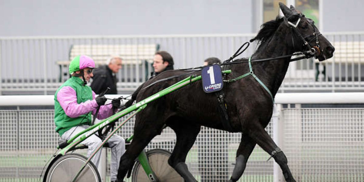 Quinté du vendredi 27 mars 2026 à Vincennes: les pronostics