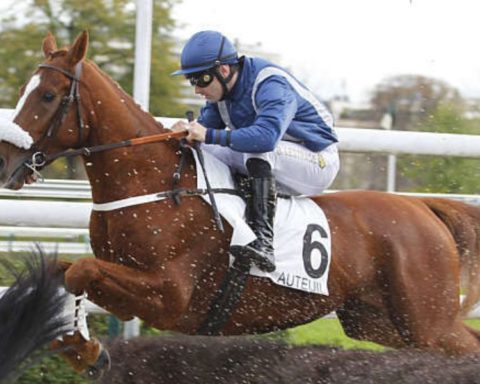 Quinté du samedi 28 mars 2026 à Auteuil: les pronostics