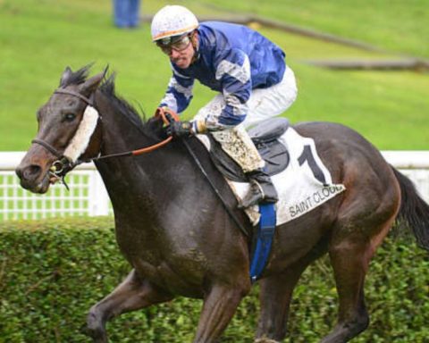 Quinté du dimanche 29 mars 2026 à Saint-Cloud: les pronostics