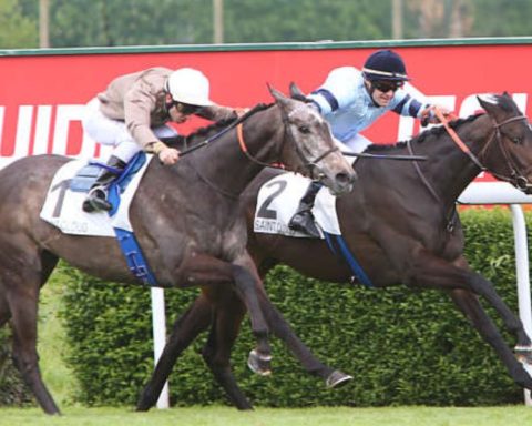 Quinté du mardi 31 mars 2026 à Fontainebleau: les pronostics