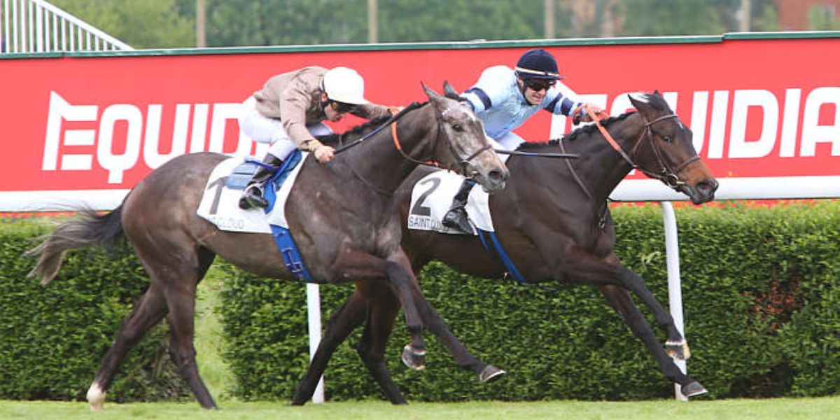 Quinté du mardi 31 mars 2026 à Fontainebleau: les pronostics