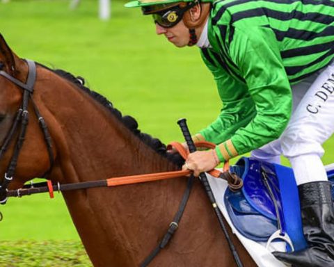 Quinté du vendredi 1er mai 2026 à Saint-Cloud: les pronostics