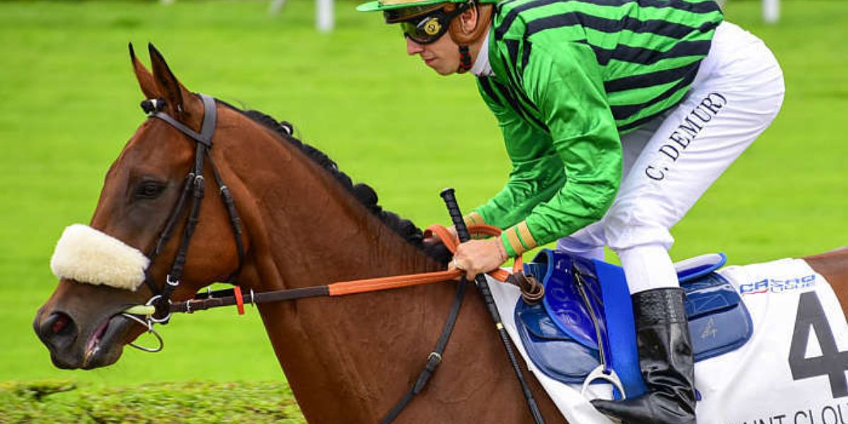 Quinté du vendredi 1er mai 2026 à Saint-Cloud: les pronostics