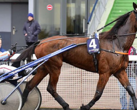 Quinté du samedi 2 mai 2026 à Vincennes: les pronostics