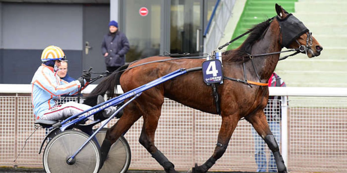 Quinté du samedi 2 mai 2026 à Vincennes: les pronostics
