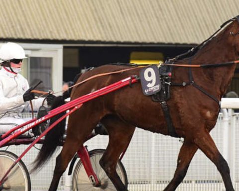 Quinté du vendredi 3 avril 2026 à Vincennes: les pronostics