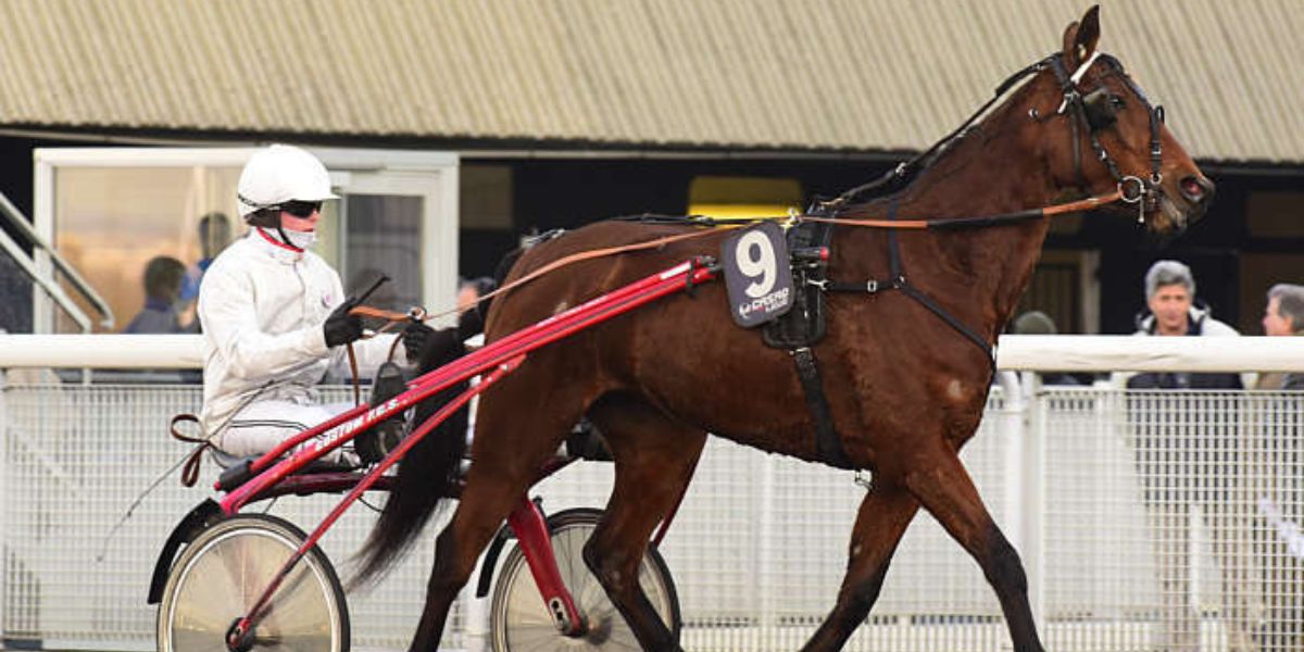 Quinté du vendredi 3 avril 2026 à Vincennes: les pronostics