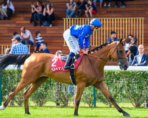 Quinté du dimanche 3 mai 2026 à Longchamp: les pronostics