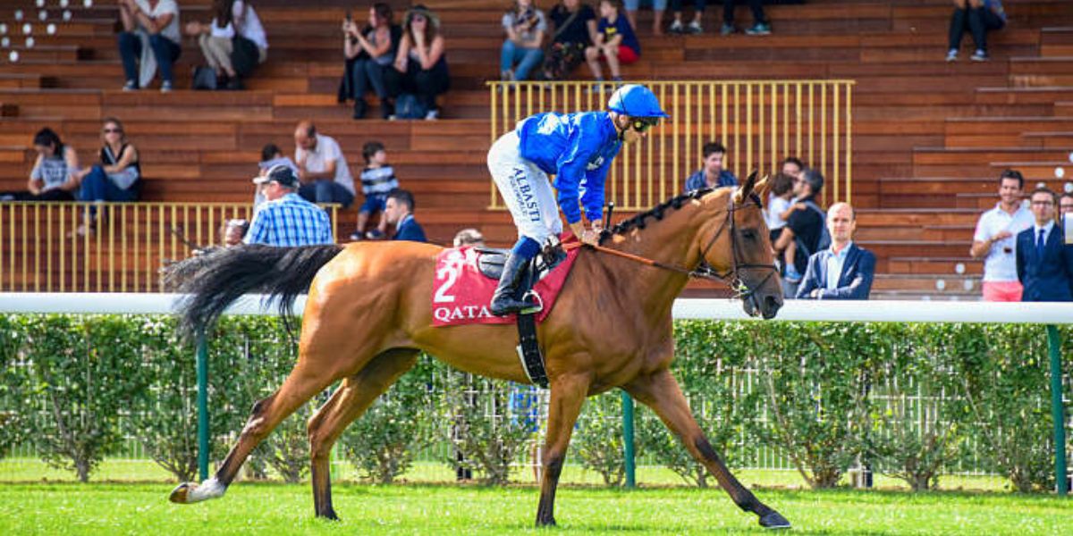 Quinté du dimanche 3 mai 2026 à Longchamp: les pronostics