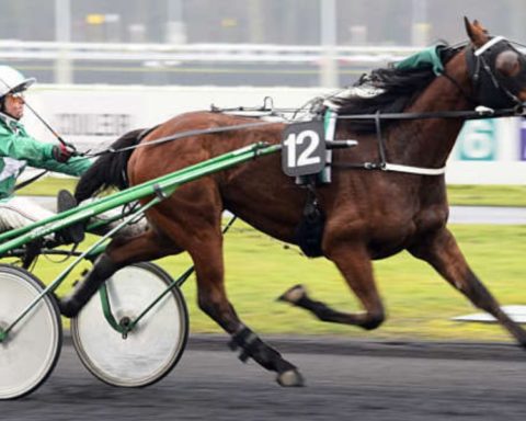 Quinté du samedi 4 avril 2026 à Vincennes: les pronostics