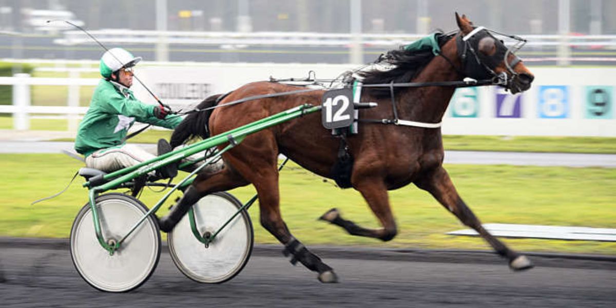 Quinté du samedi 4 avril 2026 à Vincennes: les pronostics