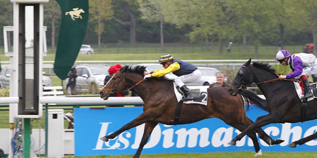 Quinté du dimanche 5 avril 2026 à Longchamp: les pronostics
