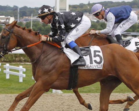 Quinté du mardi 7 avril 2026 à Deauville: les pronostics