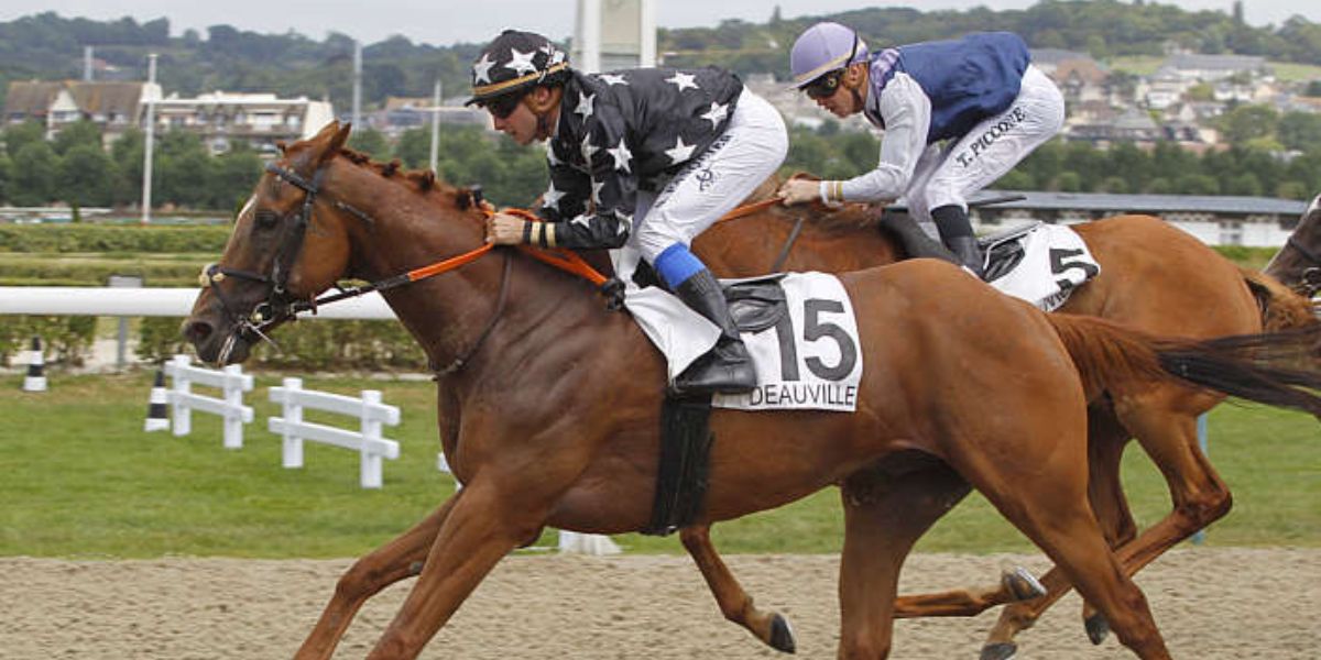 Quinté du mardi 7 avril 2026 à Deauville: les pronostics