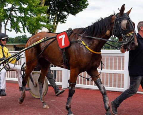 Quinté du mercredi 8 avril 2026 à Lyon-Parilly: les pronostics