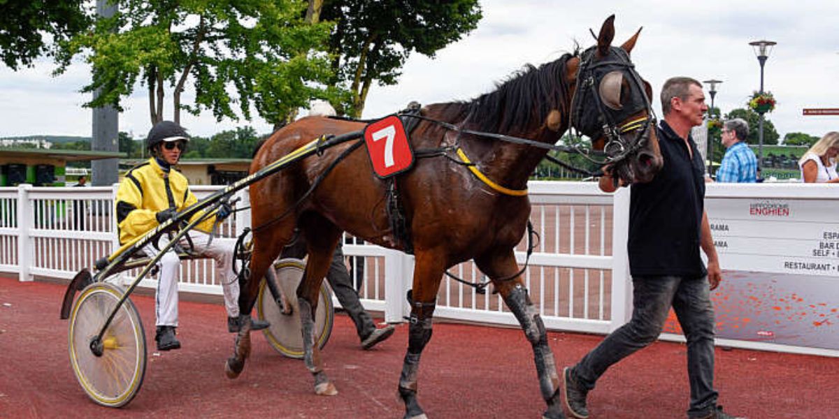 Quinté du mercredi 8 avril 2026 à Lyon-Parilly: les pronostics