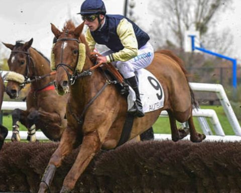 Quinté du jeudi 9 avril 2026 à Auteuil: les pronostics