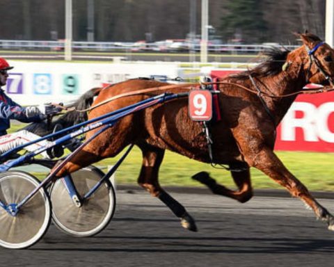 Quinté du vendredi 10 avril 2026 à Vincennes: les pronostics