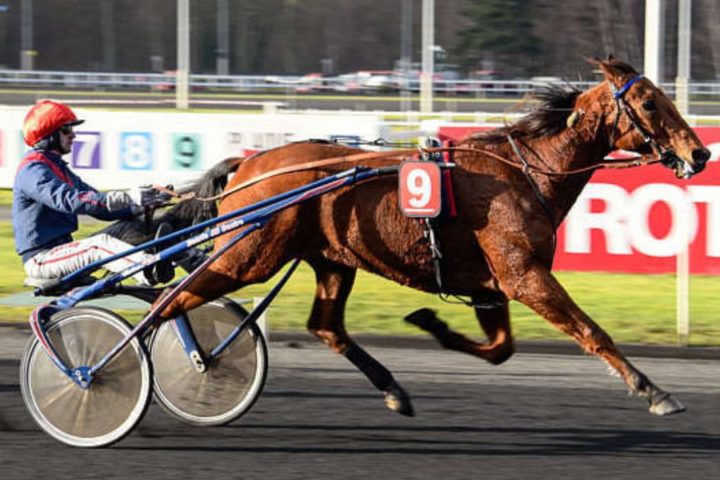 Quinté du vendredi 10 avril 2026 à Vincennes: les pronostics