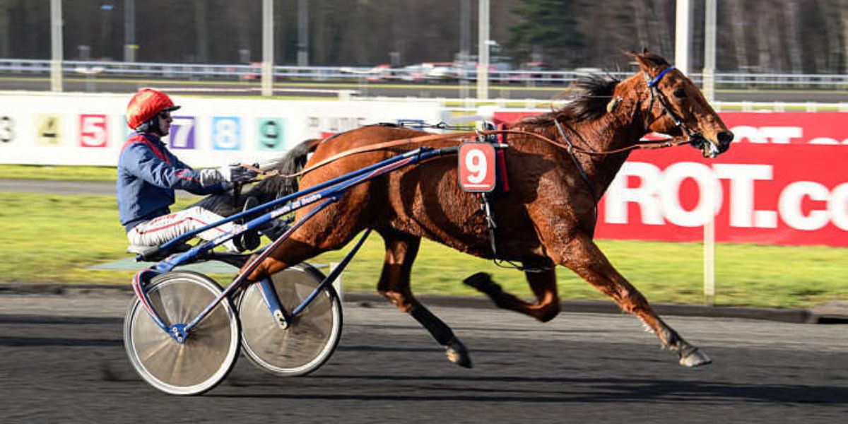 Quinté du vendredi 10 avril 2026 à Vincennes: les pronostics