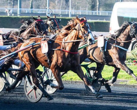 Quinté du samedi 11 avril 2026 à Vincennes: les pronostics