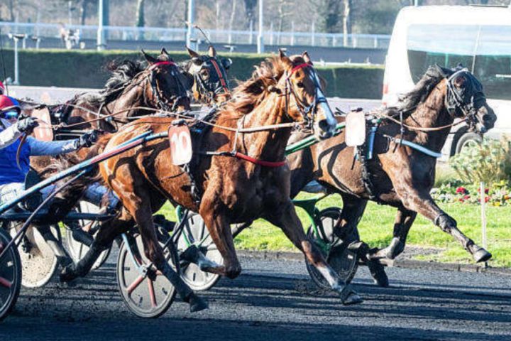 Quinté du samedi 11 avril 2026 à Vincennes: les pronostics