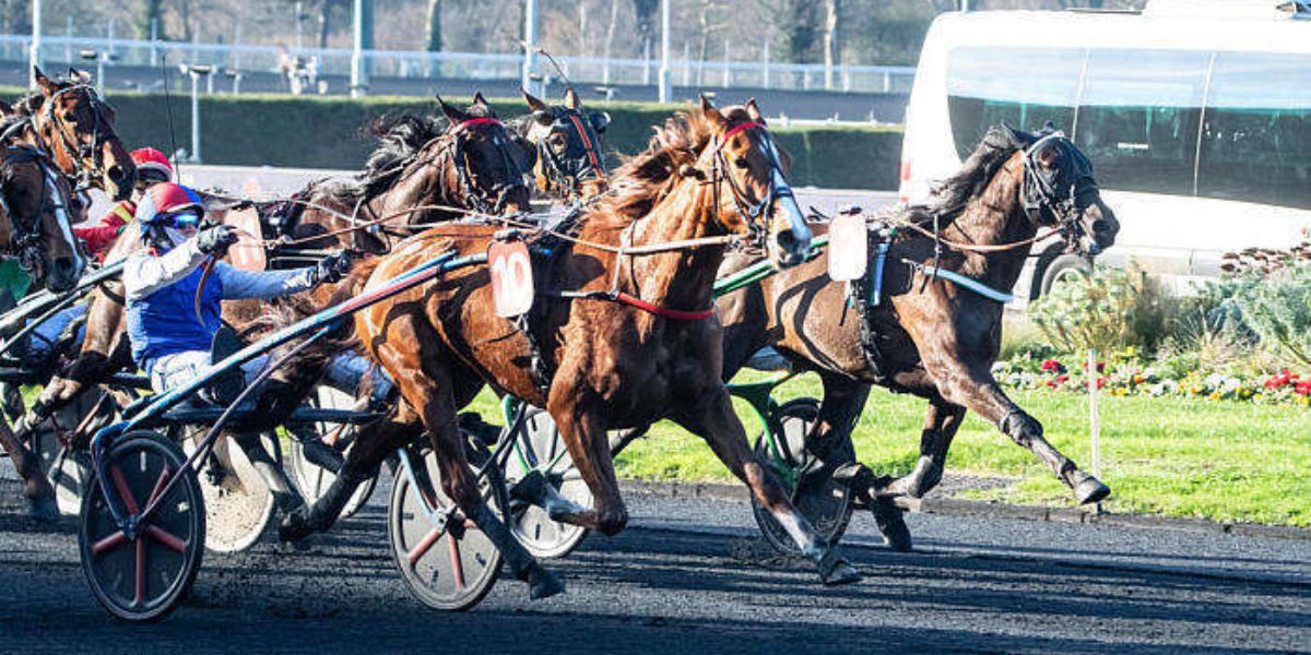 Quinté du samedi 11 avril 2026 à Vincennes: les pronostics