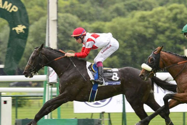 Quinté du dimanche 12 avril 2026 à Longchamp: les pronostics