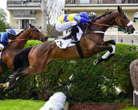 Quinté du lundi 13 avril 2026 à Auteuil: les pronostics