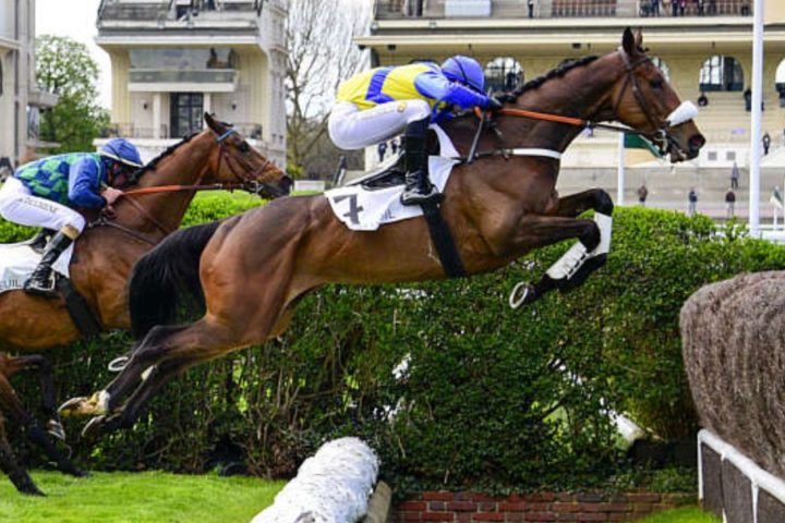 Quinté du lundi 13 avril 2026 à Auteuil: les pronostics