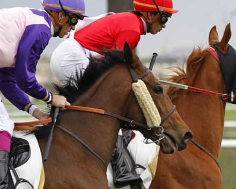 Quinté du mardi 14 avril 2026 à Chantilly: les pronostics