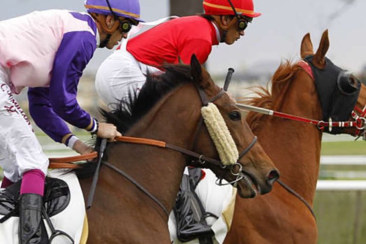 Quinté du mardi 14 avril 2026 à Chantilly: les pronostics