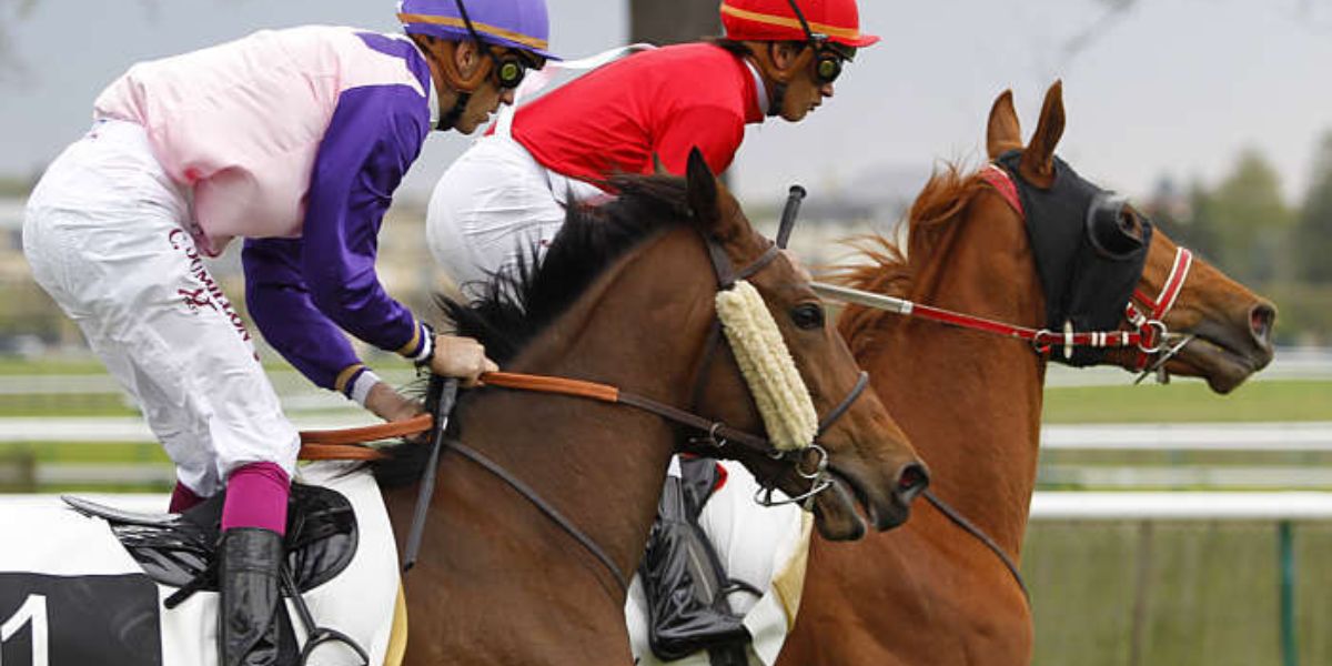 Quinté du mardi 14 avril 2026 à Chantilly: les pronostics