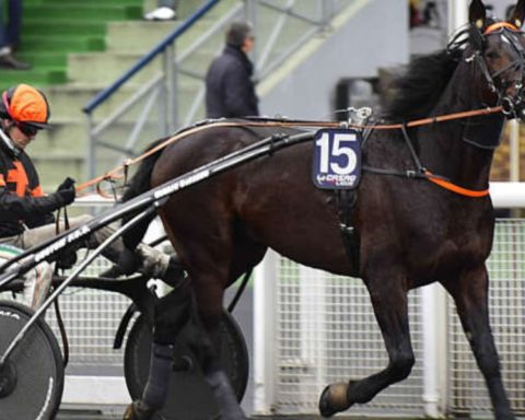 Quinté du mercredi 15 avril 2026 à Cordemais: les pronostics