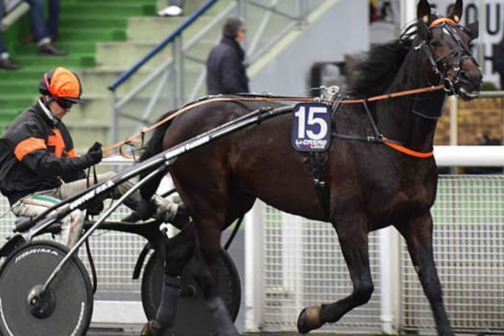 Quinté du mercredi 15 avril 2026 à Cordemais: les pronostics