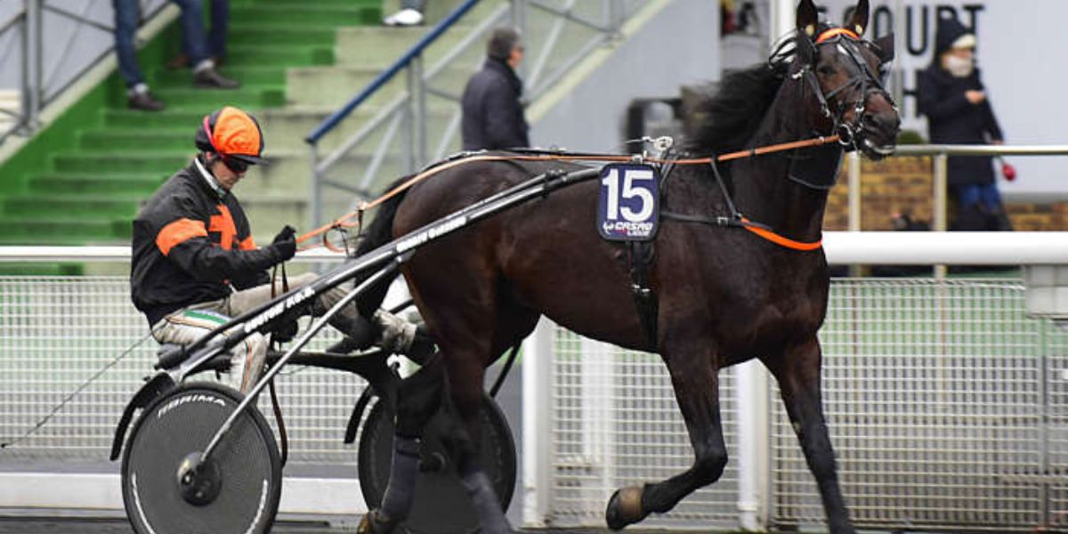 Quinté du mercredi 15 avril 2026 à Cordemais: les pronostics
