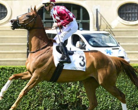 Quinté du jeudi 16 avril 2026 à Longchamp: les pronostics